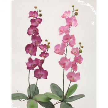 75008 Orchideen  60 cm