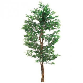 7810206 Ficus Benjamini 160 cm