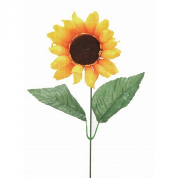 787601 Sonnenblume einzeln, Blüte 12 cm
