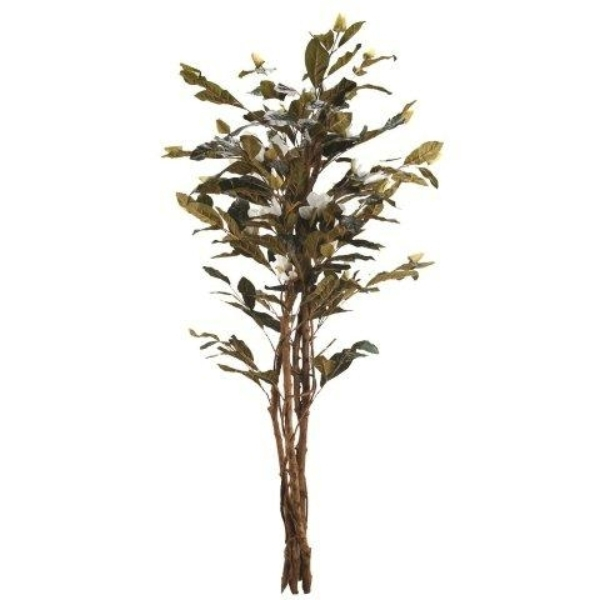 781028 Magnolienbaum 160 cm